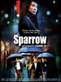 cine_sparrow