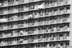 109